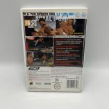 Gioco Wii Smackdown Vs Raw 2010