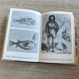 Libro Darwin e Noi Montalenti