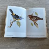 Libro Darwin e Noi Montalenti