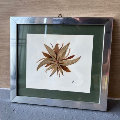 Quadretto Fiori Secchi Gio