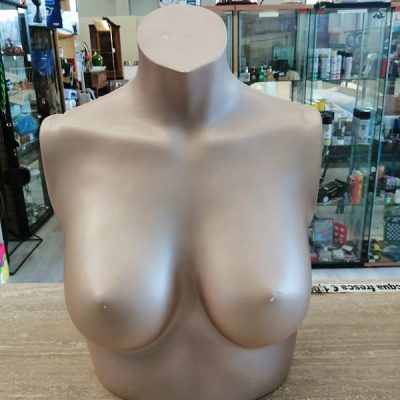 Mezzo busto donna parte alta