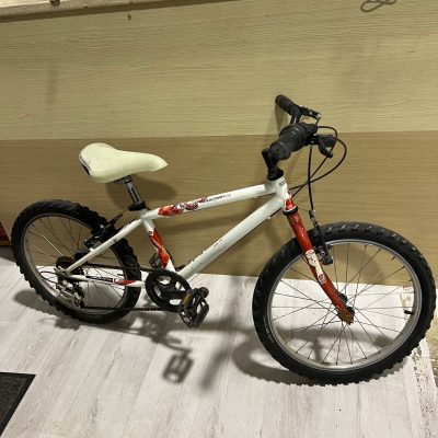 Bicicletta 20 Pollici