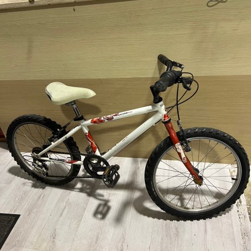 Bicicletta 20 Pollici