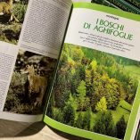 Enciclopedia Conoscere La Natura D'Italia 11 Volumi