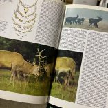 Enciclopedia Conoscere La Natura D'Italia 11 Volumi