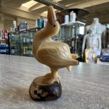 Uccello Avorio Vegetale Tagua
