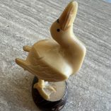 Uccello Avorio Vegetale Tagua
