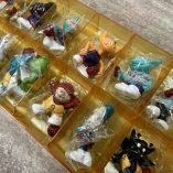 Serie Completa Sorpresine Gnammy Team