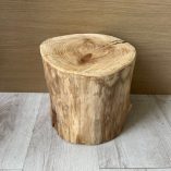 Tronco Legno