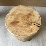 Tronco Legno