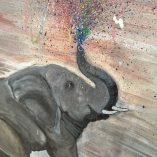 Quadro Elefante
