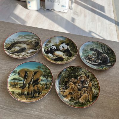 5 Piatti WWF Villeroy e Boch