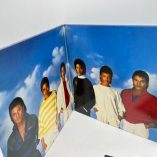 Disco LP 33 Giri Jacksons Victory 1984