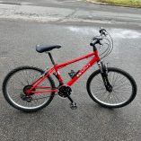 Bicicletta 24 Pollici BiArt Arese Artigianale