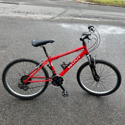Bicicletta 24 Pollici BiArt Arese Artigianale