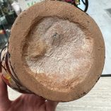 Anfora Sardegna Dorgali