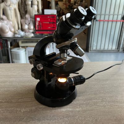 Microscopio Binoculare Carl Zeiss