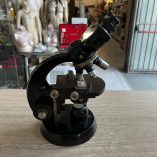 Microscopio Binoculare Carl Zeiss