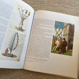 Il Libro Della Luce Giovanni Da Rupescissa