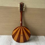 Banjo Eko 8 Corde