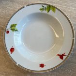 12 Piatti Porcellana Manifattura Laveno Ginori