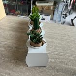 Porta Vasetti Piante 4 Buchi
