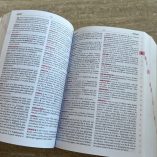 Il Mio Primo Dizionario Miot