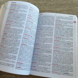 Il Mio Primo Dizionario Miot