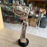 Statua Argentata Dea Bendata Euro