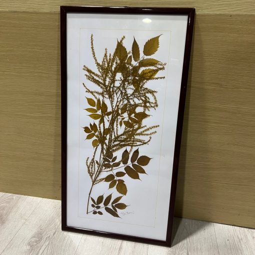 Quadro Pianta Essiccata