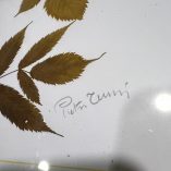 Quadro Pianta Essiccata