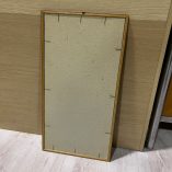 Quadro Pianta Essiccata