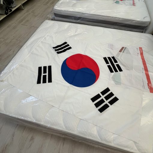 Bandiera Corea Del Sud 95 x 140