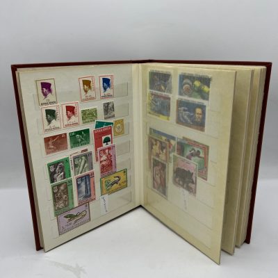 Album Francobolli Mondo Picchio 12 Fogli