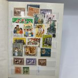 Album Francobolli Mondo Picchio 12 Fogli