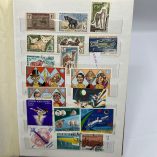 Album Francobolli Mondo Picchio 12 Fogli