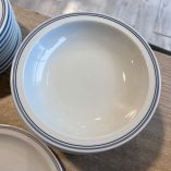 Servizio Piatti Richard Ginori 33 Pezzi