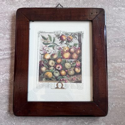 Quadretto Stampa Robert Furber Maggio Quadretto Stampa Robert Furber Maggio