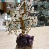 Piantina ametista gemme