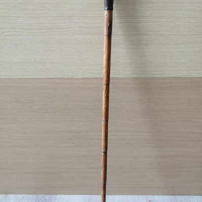 Bastone da passeggio Bastone da passeggio