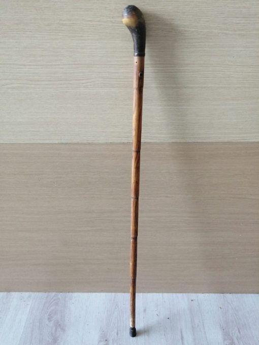 Bastone da passeggio