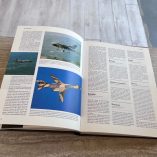 L&acirc;Affascinante Storia Delle Invenzioni