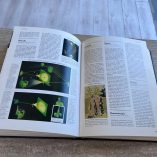 L&acirc;Affascinante Storia Delle Invenzioni