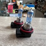 2 Lampadine Auto Osram H11