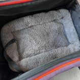 Trasportino Morpilot