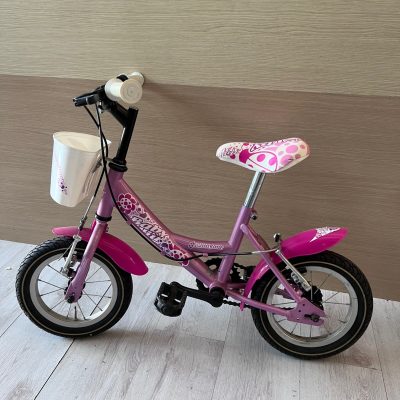 Bicicletta Bambina 12 Pollici