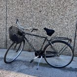 Bicicletta Weg Bike 28''