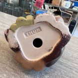 Gufo Thun Coccinelle