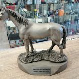 Statua cavallo