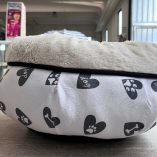 Cuccia Cane